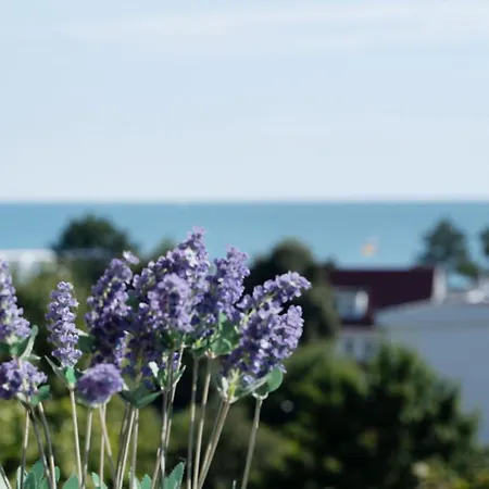 Berolina Seeblick Daire *