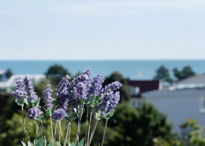 Berolina Seeblick Apartamento *